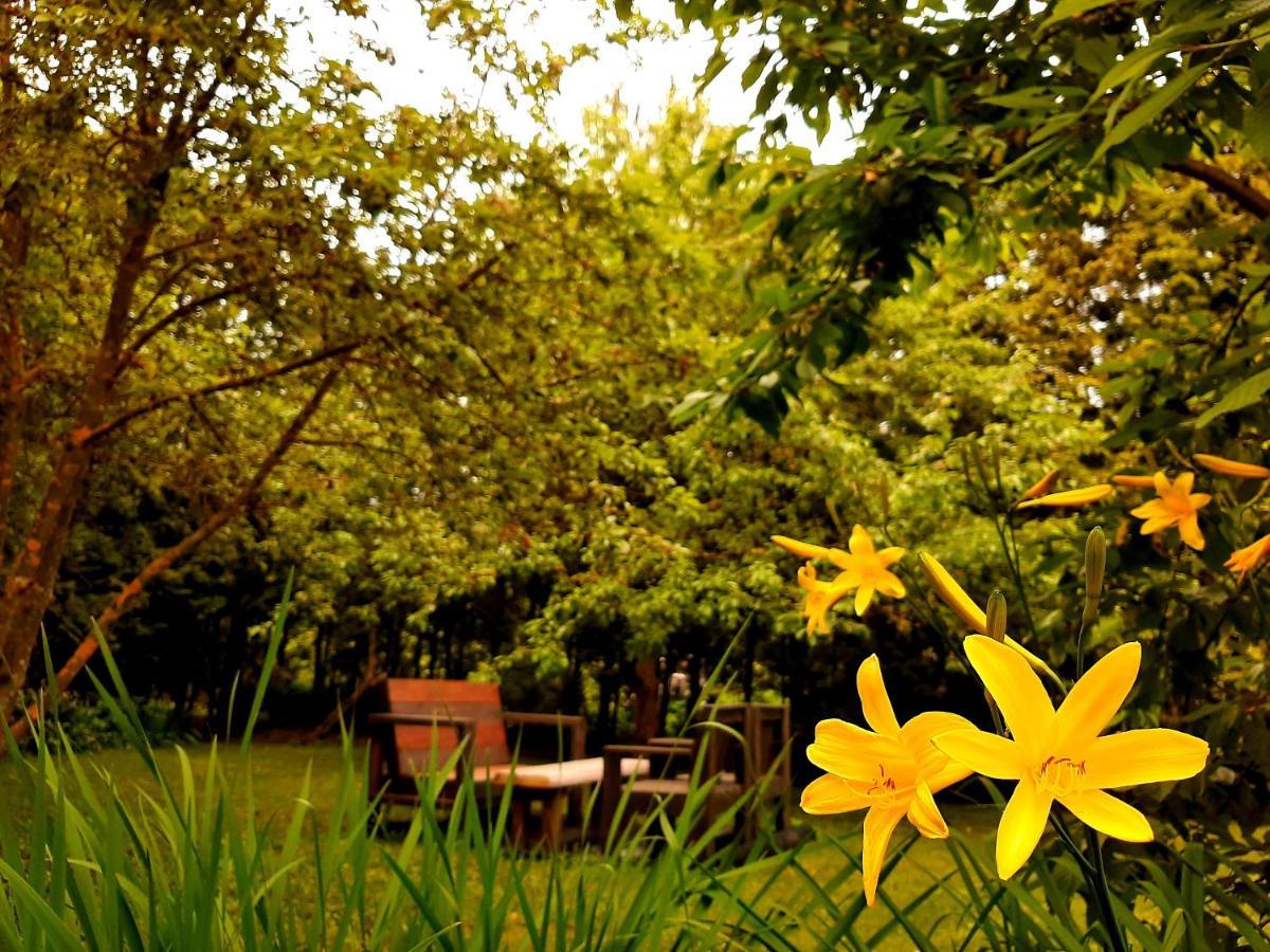 Champetre Park View Apartments 里加 外观 照片
